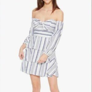 Parker Blue and White Striped Mini Dress